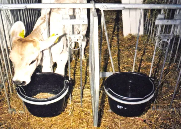 Futtereimer und Wassereimer mit einem Metall getrennt.